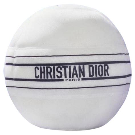 christian dior gym ball